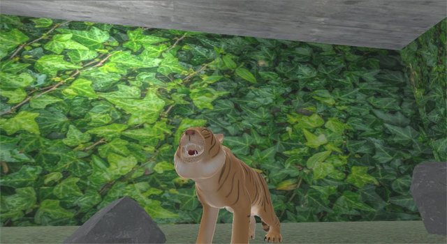 The Tiger Exhibit