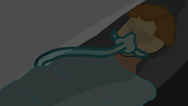 False Awakenings