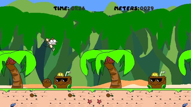 Coco Run