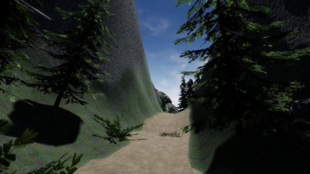 Memory Mountain