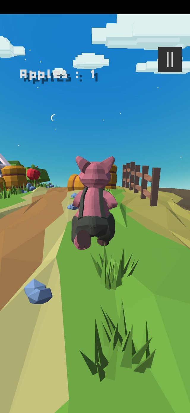 Animal Dash