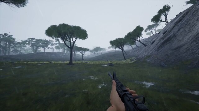 SoleSurvivor