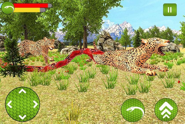 Wild Anaconda Snake Battle