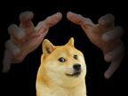 Pet Doge