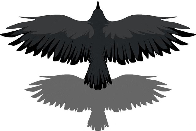 Flight V.1