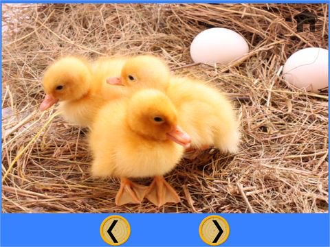 funny farm animals for kids - free game