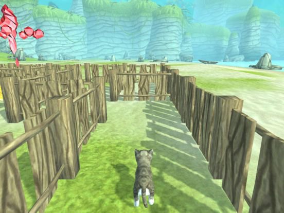 3D Pets in the Maze