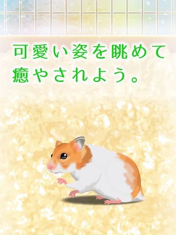 Hamster Game Free