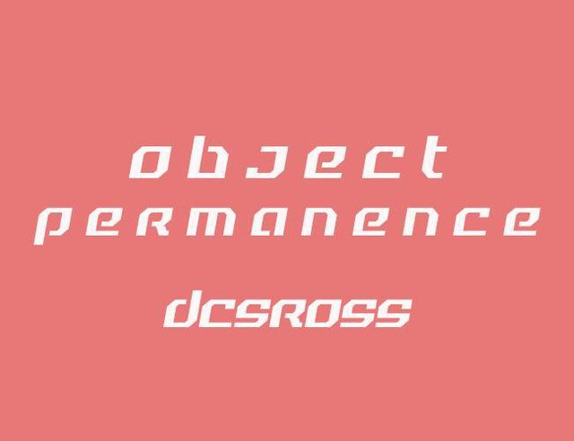 Object Permanence