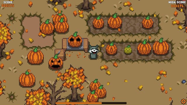 Cozy Pumpkins