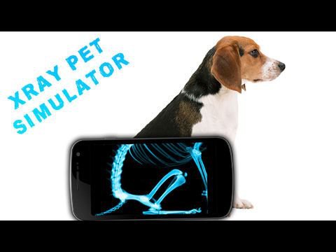 Simulator X-Ray Pet