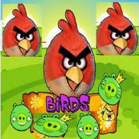 An gary brids