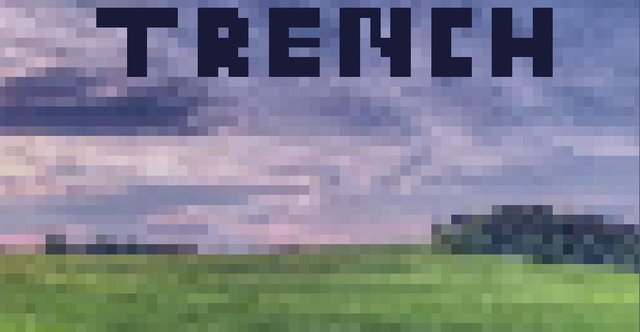 Trench2D