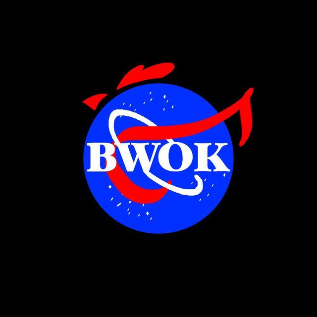 BWOK ( 4 players party game)