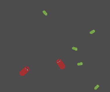 Bug Simulation