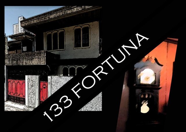 133 Fortuna