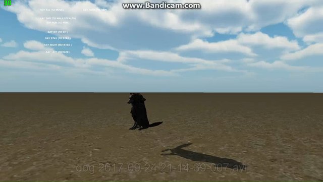 dog command