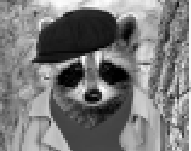 Detective Racoon: Cake Eater
