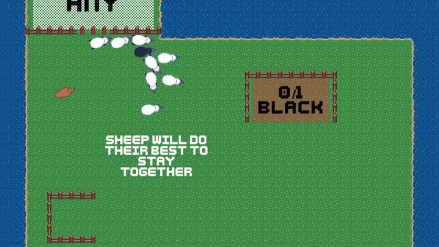 Loose Sheep