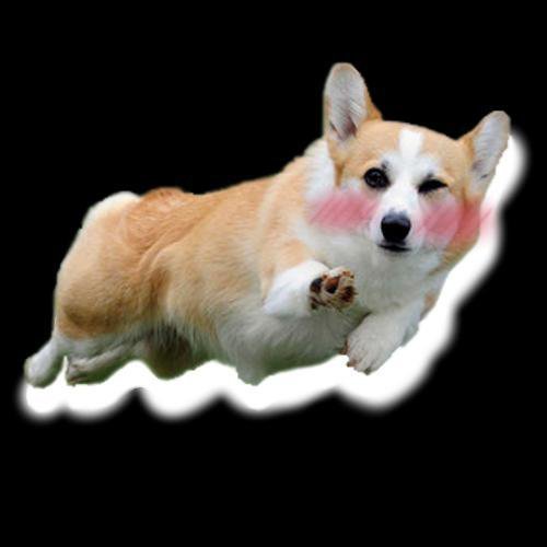 Good dog - Bad dog