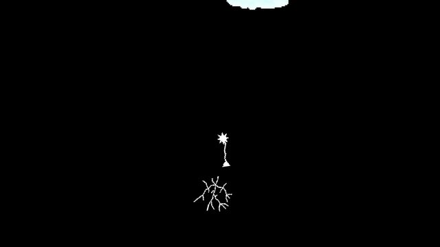Roots Need Control 3.0