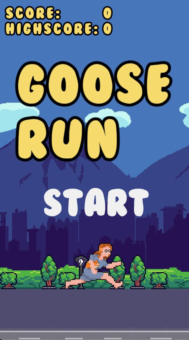 Goose Run