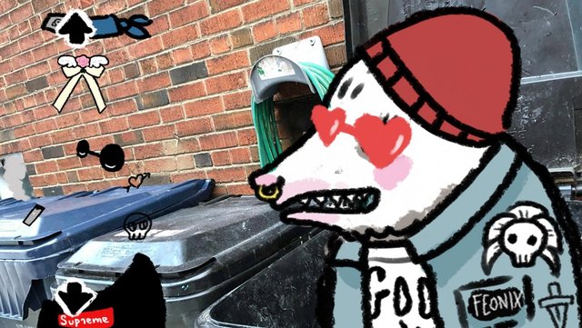 Possum Dress Up