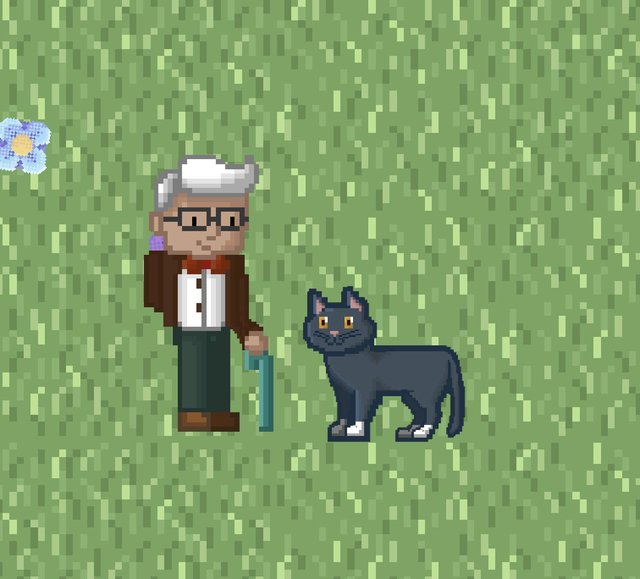 Catceptance