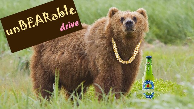 unBEARable Drive