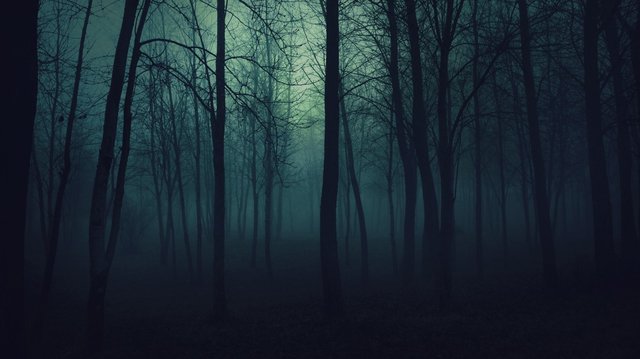 Twine Project - Into the Woods