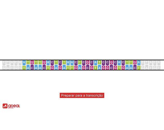 DNA (itch) (Vulgarius)