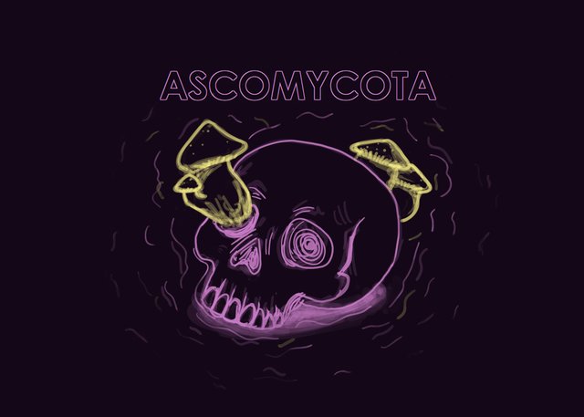 ASCOMYCOTA