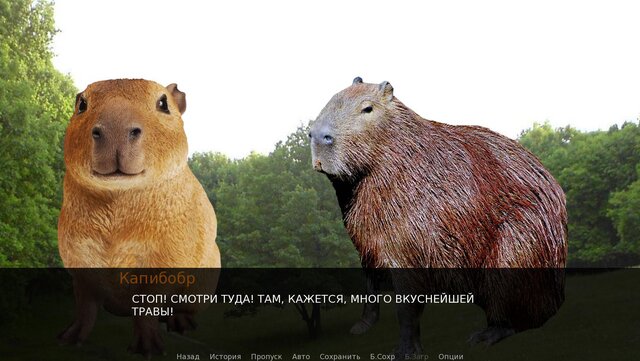 Капибарные приключения!