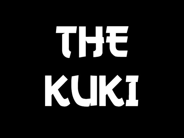 The KUKI BETA 1.1