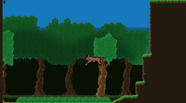 A wolf's Life
