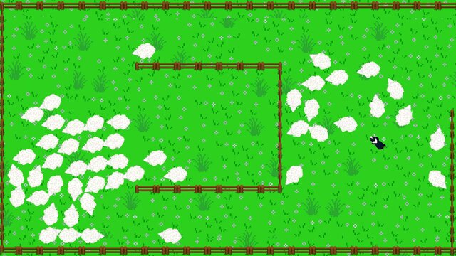 137 Sheep