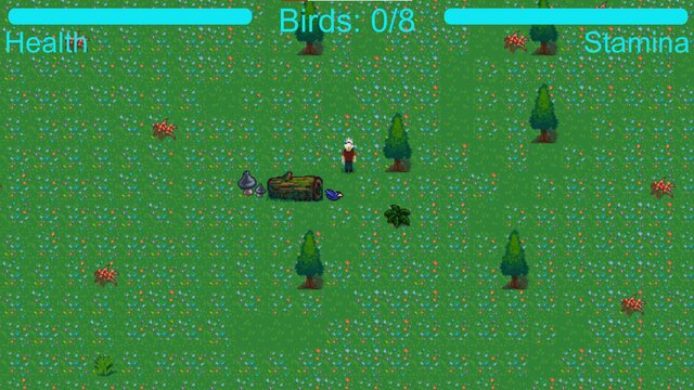 Bird Catcher