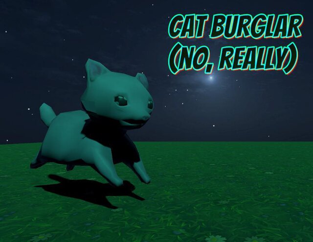 The Cat Burglar (No, really)