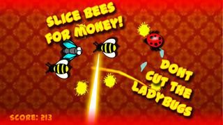 Super Bug Killer: Fly Slice - by Cobalt Play Games