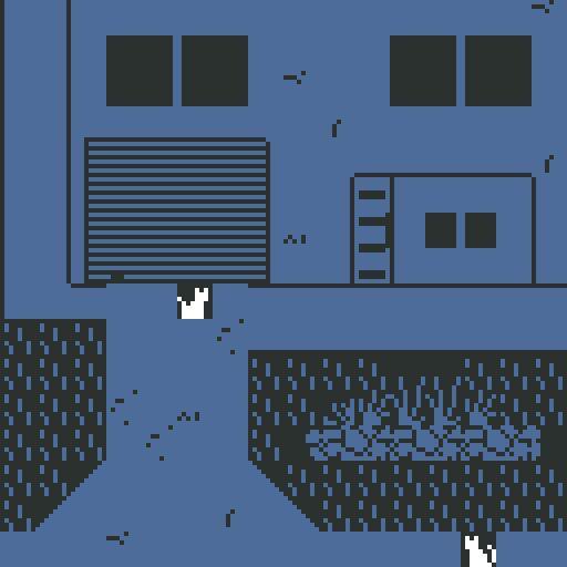 a cat's guide to an old home