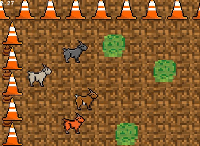 Goat Race!