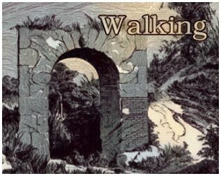Walking (John C. Knudsen)