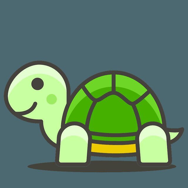 turtles dont run