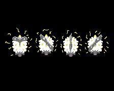 Binary Dream