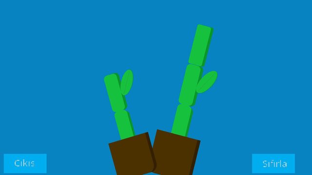 Bamboo (EgeOZTETIK)