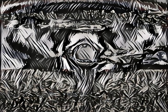 THE MAZE (Evilous)