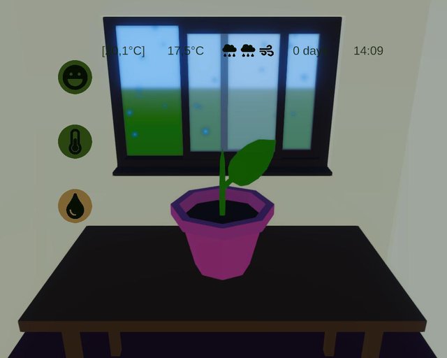 Mr Ficus
