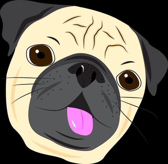 Pug Punch
