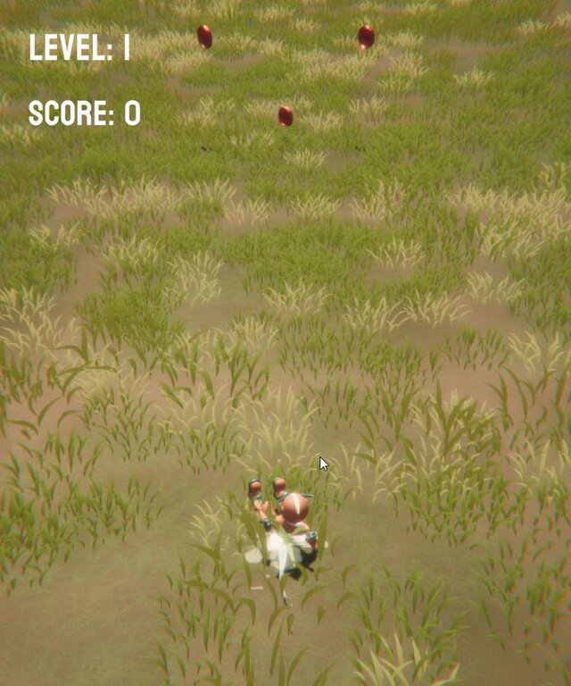 ShuriDash