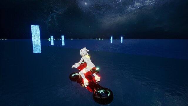 VIReRacers